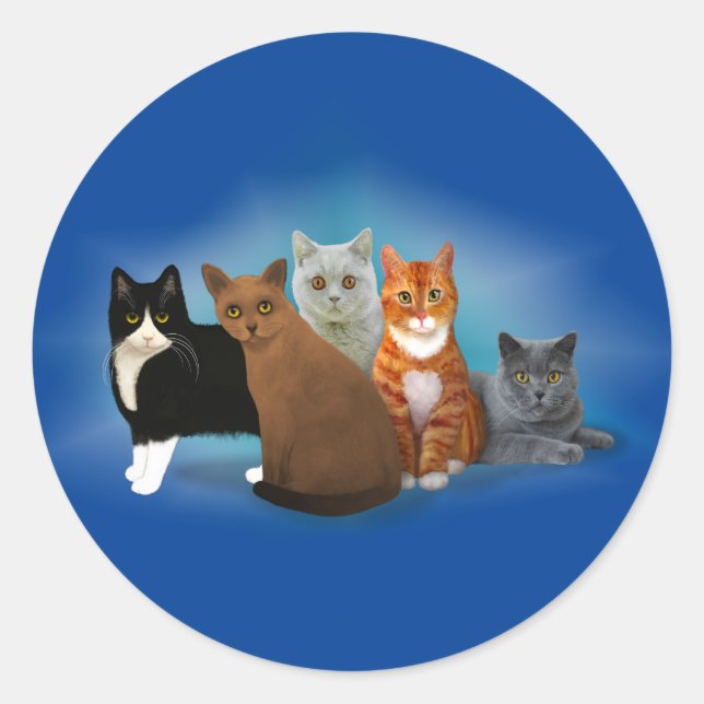 Adesivo Grupo de Gatos Bonitos para Adolescentes de Gato (Frente)