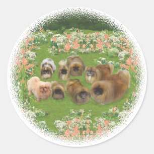 Adesivo Grupo do jardim