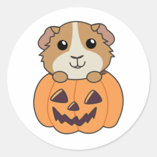 Adesivo Guiné Pumpkin Doce Animais Feliz Halloween C