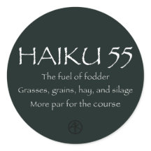 HAIKU 55