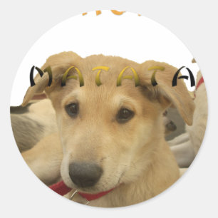 Adesivo Hakuna Matata Eu sei o que você está pensando