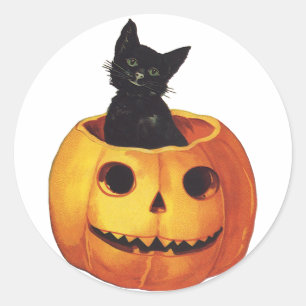 Adesivo Halloween Antigo, Gato Preto Fofo em uma Abóbora