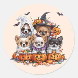 Adesivo Halloween Chihuahua Dogs
