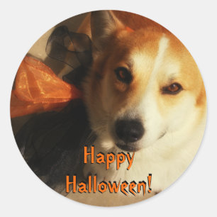 Adesivo Halloween Corgi Stickers