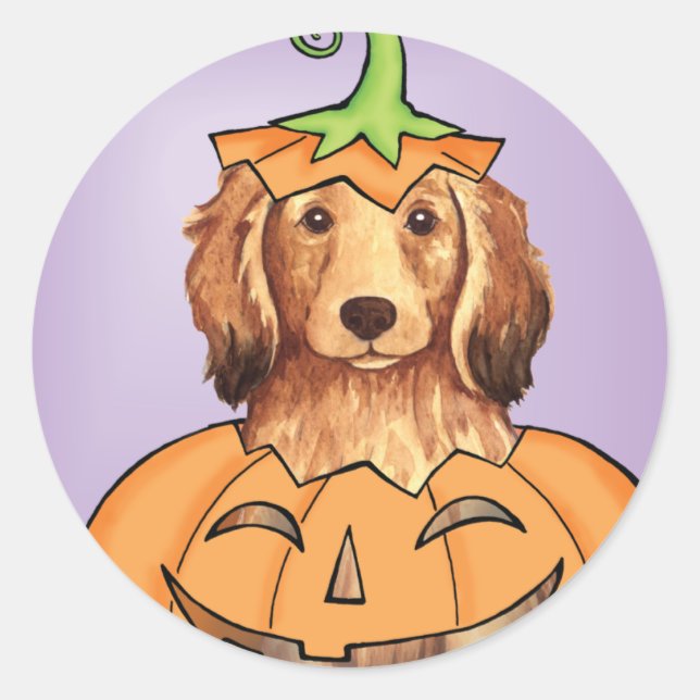 Adesivo Halloween Longhaired Dachshund (Frente)