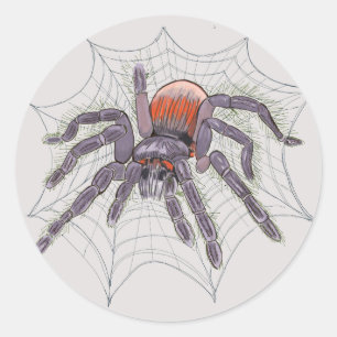 Adesivo Halloween Spider — Divertimento assustador