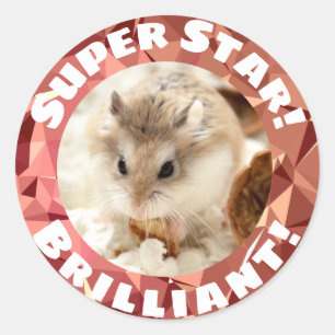 Adesivo Hammyville - Encorajamento Gelado do Hamster
