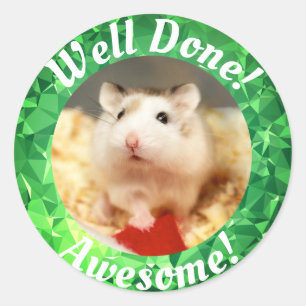 Adesivo Hammyville - Encorajamento Gelado do Hamster