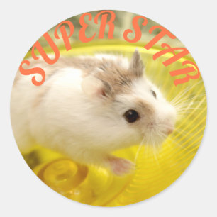 Adesivo Hammyville - Estrela de Hamster Bonita