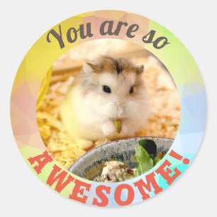 Adesivo HammyVille - Hamster bonito Você é tão incrível