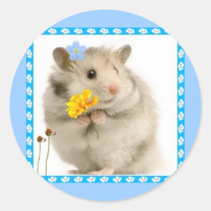 Adesivo hamster