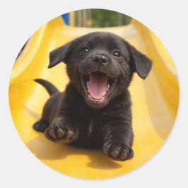 Adesivo Happy Black Labrador Puppy Slides Down Yellow Slid