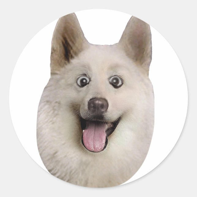 Adesivo Happy_Dog_Mult_Products (Frente)