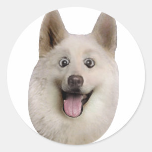 Adesivo Happy_Dog_Mult_Products