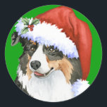 Adesivo Happy Howliday Aussie<br><div class="desc">Celebre o feriado com um feliz pastor australiano vestindo um chapéu de Papai Noel. Ideia de presente de excelente para a família e amigos amantes de Aussie. Feliz Howlidays!</div>