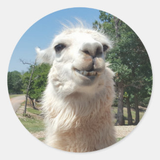 Adesivo Happy Llama