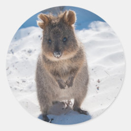 Adesivo Happy Quokka na praia