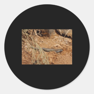 Adesivo Haria Lizard Nature lança Fuerteventura Sticker