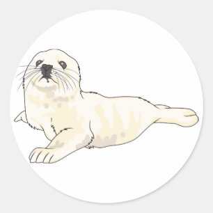 Adesivo Harp Seal Pup