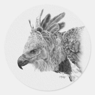 Adesivo Harpy Eagle Drawing