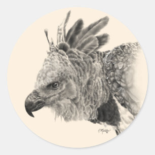 Adesivo Harpy Eagle Drawing