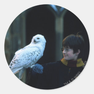 Adesivo Harry e Hedwig 2