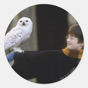 Adesivo Harry e Hedwig 3