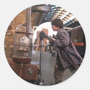 Adesivo Harry e Hedwig PLATFORM 9 3/4™