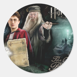 Adesivo Harry Potter e Dumbledore