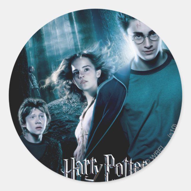 Adesivo Harry Potter Ron Hermione Na Floresta (Frente)