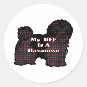 Adesivo Havanese BFF Sticker