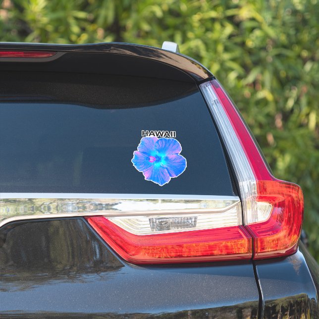 Adesivo Hawaii Hibiscus (Lado do carro)