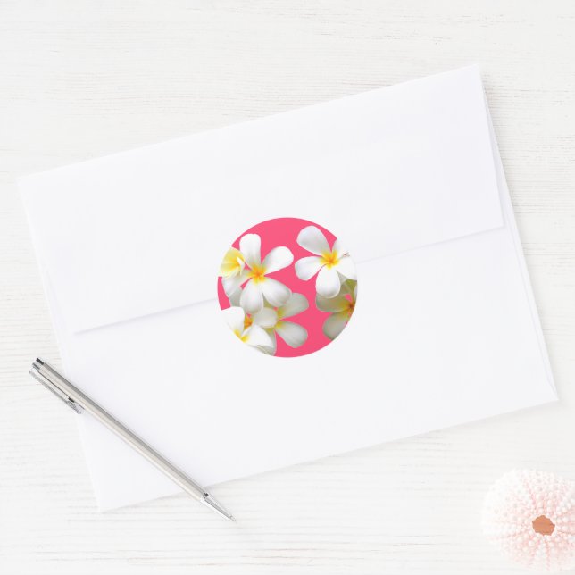 Adesivo Hawaiian white plumeria flower pink (Envelope)