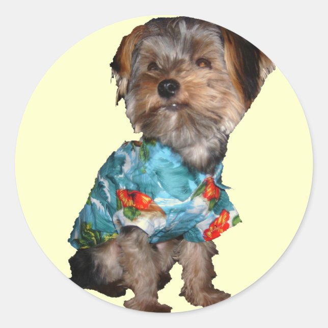 Adesivo Hawaiian Yorkie Sticker (Frente)