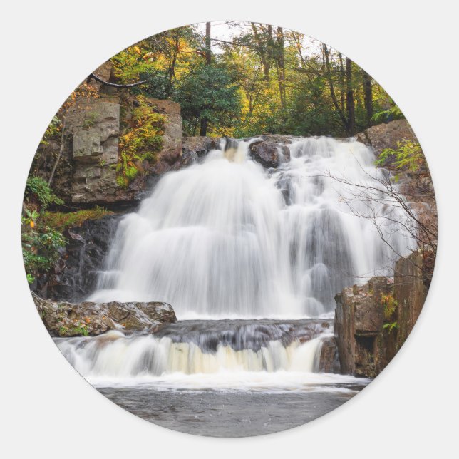 Adesivo Hawk Cai no outono (Frente)