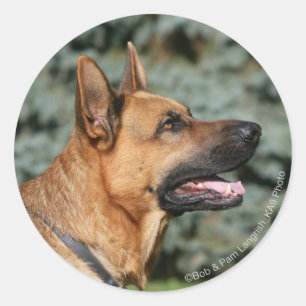 Adesivo Headshot 1 do german shepherd