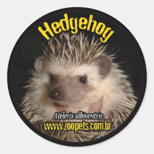 Adesivo hedgehog