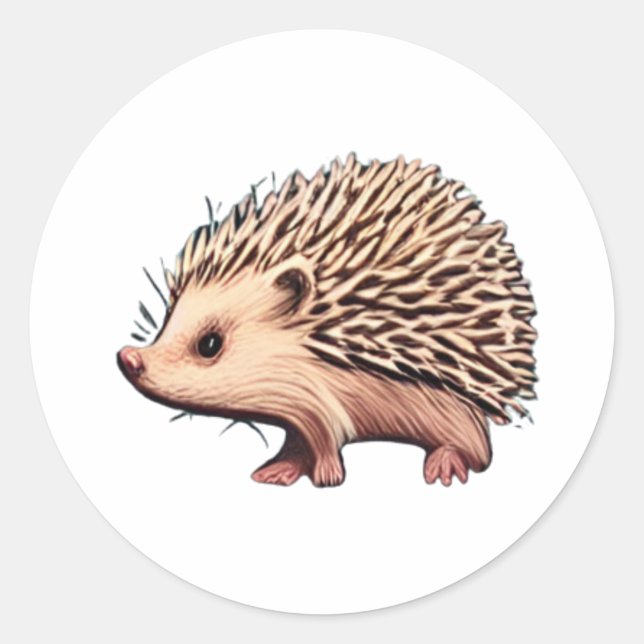 Adesivo Hedgehog (Frente)