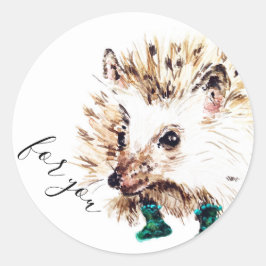 Adesivo Hedgehog em Meias 