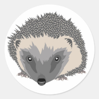 Adesivo Hedgehog Sticker