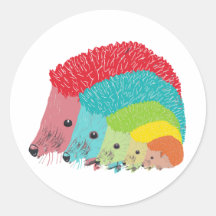 Hedgehogs