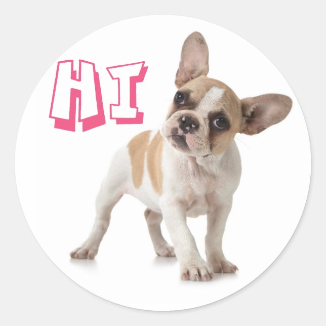 Adesivo Helllo Hi French Bulhdog Puppy Dog Sticker / Selo (Frente)