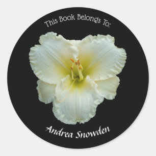 Adesivo "Hemerocallis branco do Snowbird grande" no