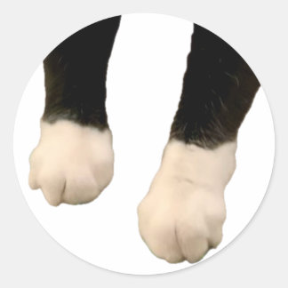 Adesivo Henri Sticker - Pés!