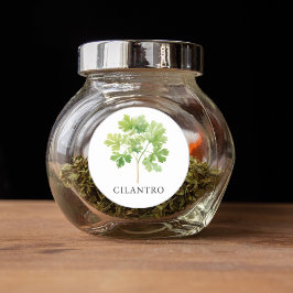 Adesivo Herb Cilantro Watercolor