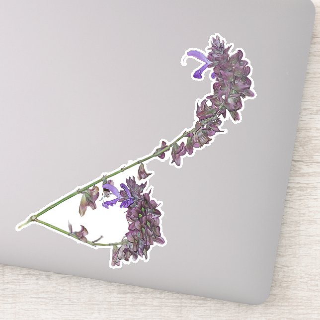Adesivo Herb Clary Sage | vinil Sticker (Detalhe)
