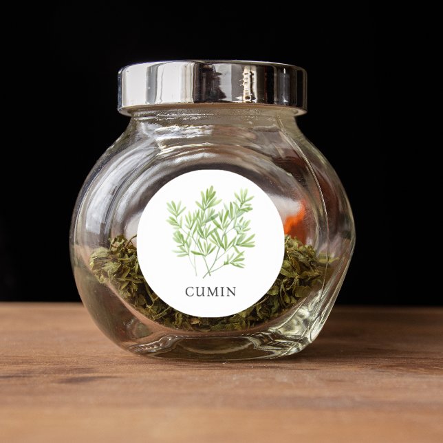Adesivo Herb Cumin Watercolor (Herb Cumin Watercolor Classic Round Sticker)