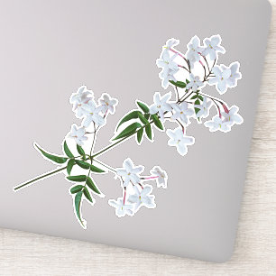 Adesivo Herb Jasmine vinil Sticker
