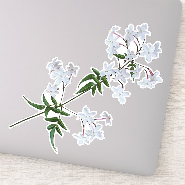 Adesivo Herb Jasmine | vinil Sticker (Detalhe)