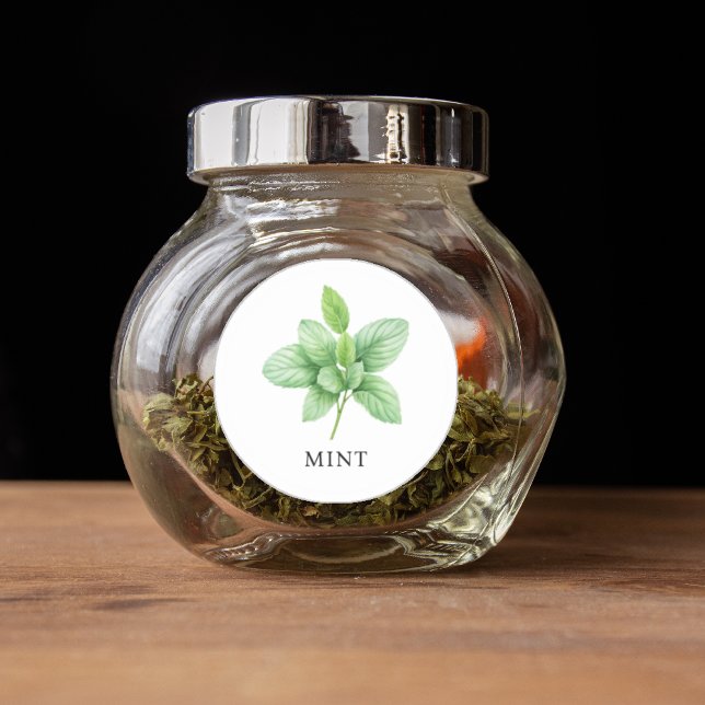 Adesivo Herb Mint Watercolor (Herb Mint Watercolor Classic Round Sticker)